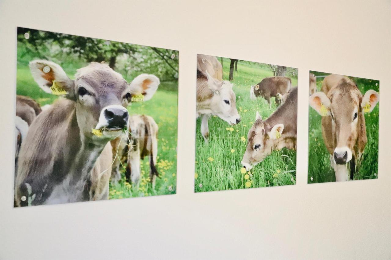 Ferienhof Koenig Neukirch  Esterno foto